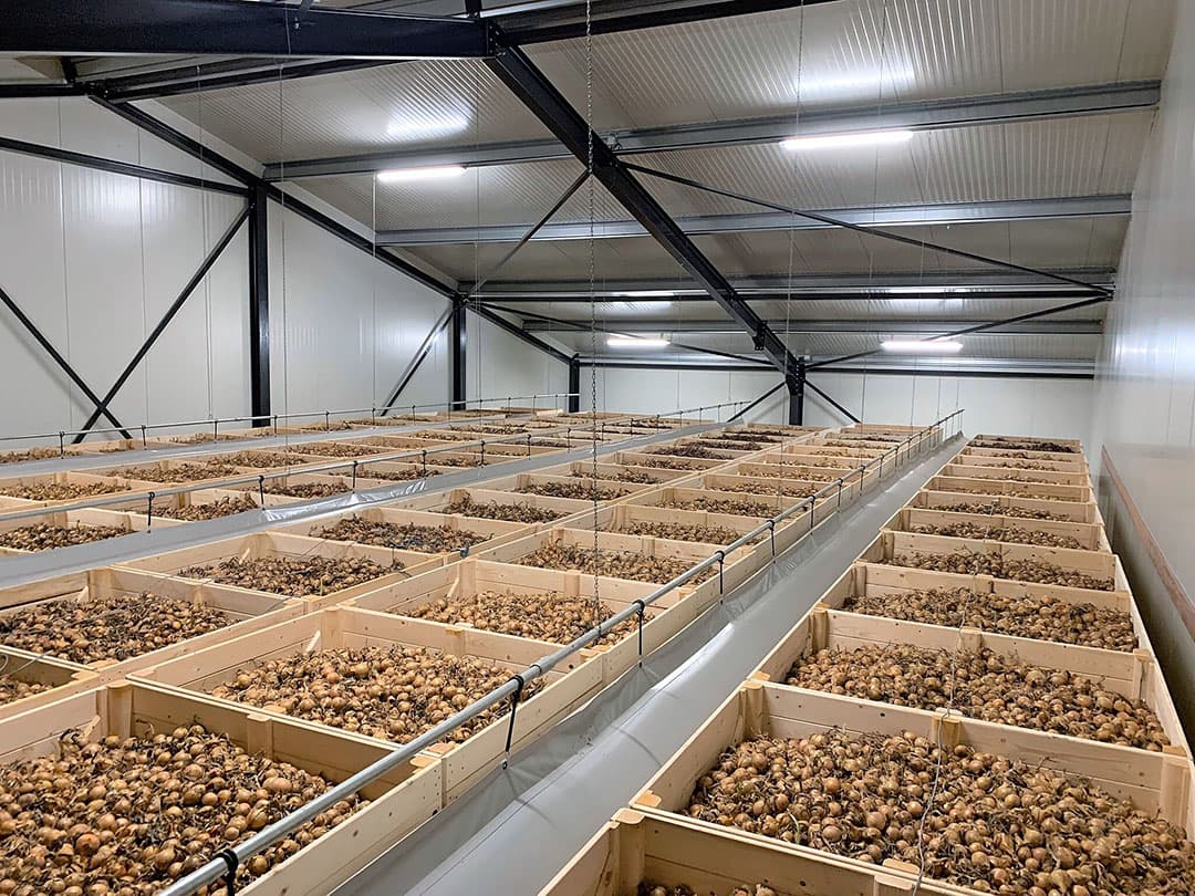 Biologische uien in bewaring. WeGrowOrganic heeft de mogelijkheid om bijna 4.000 kisten op te slaan in de nieuwe bewaarschuur. - Foto: WeGrowOrganic.