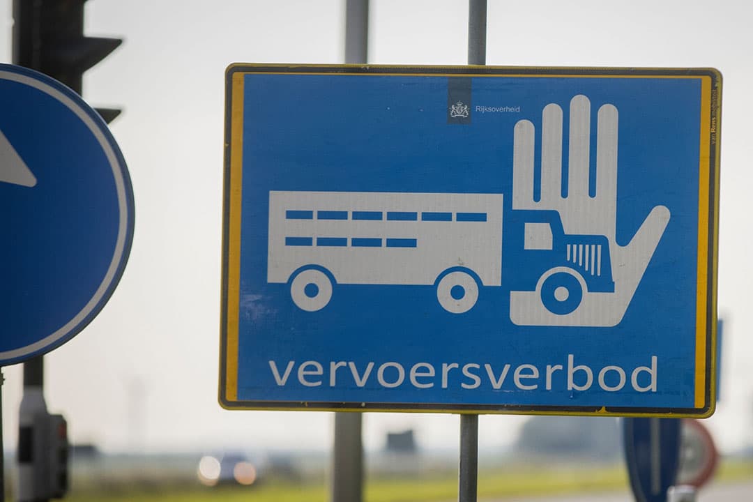 Foto: Koos Groenewold