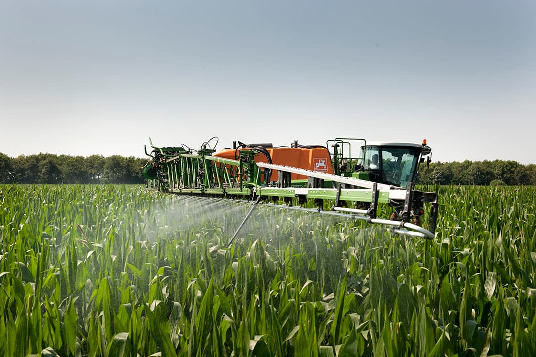 Het spuiten van een fungicide tegen bladvlekkenziekte in mais. Afgelopen seizoen was dat nauwelijks nodig. Kies maisrassen met resistenties tegen schimmelziekten en spuit bij de eerste signalen van schimmelaantasting. - Foto: Mark Pasveer