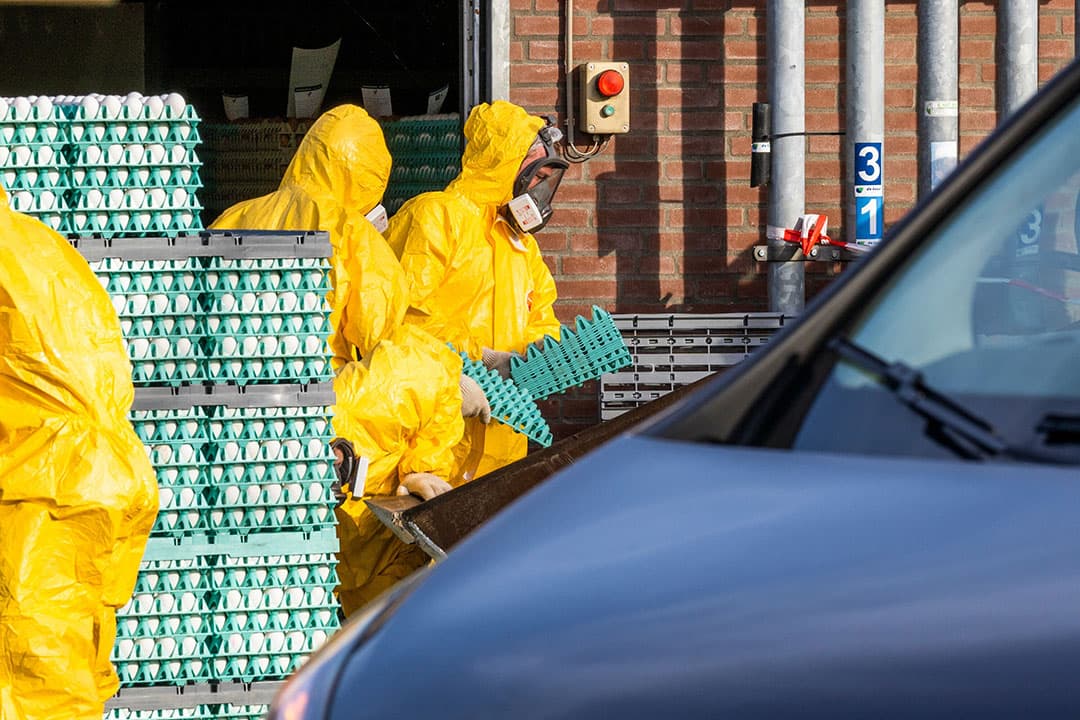 Foto: Bert Jansen