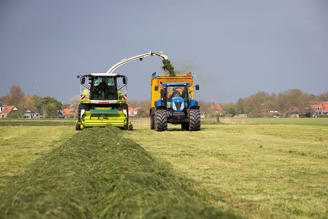 12 meter afstand tussen hakselaar en silagewagen is te veel. Bij vaste rijpaden gaat de silgewagen daarom achter de hakselaar. - Foto: Anne van der Woude