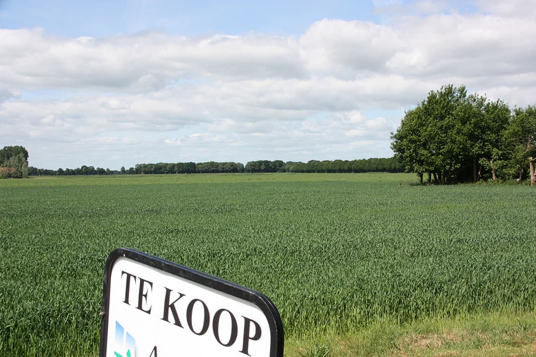 Foto: Martijn ter Horst