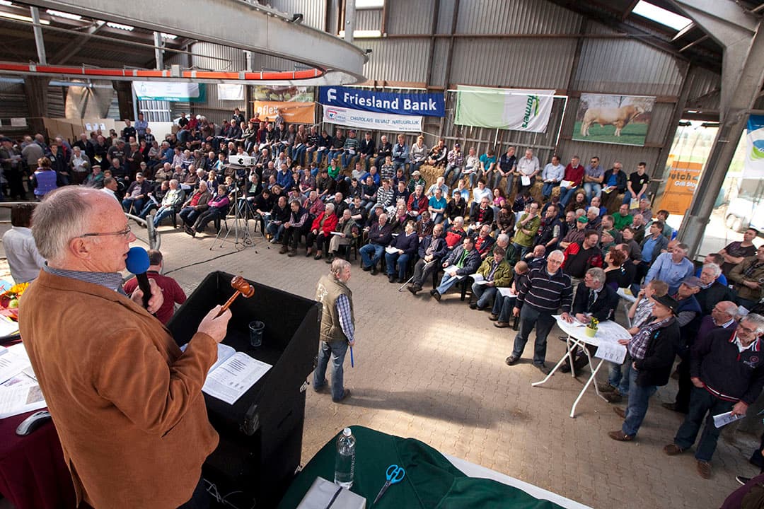 Valt de hamer en je bent de hoogste bieder dan ben je koper. Meestal, maar niet altijd! De veilingmeester kan, hoewel ongebruikelijk, anders beslissen. Particulieren hebben meer rechten dan bedrijven. Koop je bedrijfsmatig dan is gekocht ook echt gekocht. Foto: Koos Groenewold