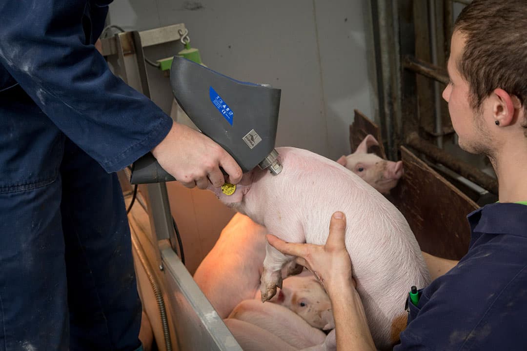 'Het is belangrijk om regelmatig te evalueren in hoeverre een vaccinatie bijdraagt aan de algehele gezondheidsverbetering en daarmee de financiële resultaten.' - Foto: Koos Groenewold