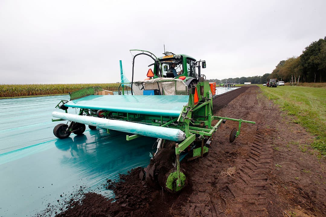 Leggen van folie voor biologische grondontsmetting. Door de relatief hoge kosten voor dit systeem is het alleen rendabel voor hoog salderende teelten of voor pleksgewijze toepassing. - Foto: Bert Jansen