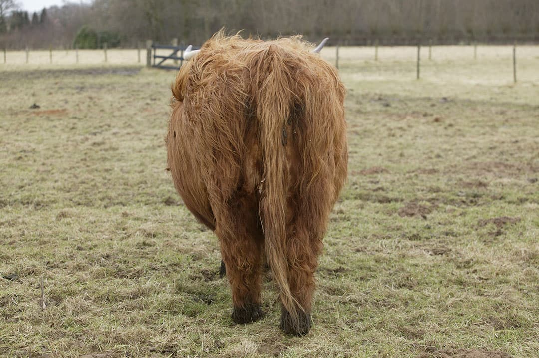 Foto: Jan Willem Schouten