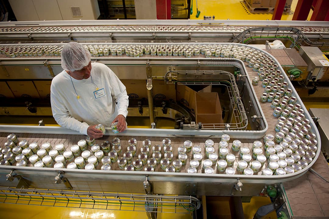 Gecondenseerde melk, klaar voor de export. - Foto: Mark Pasveer