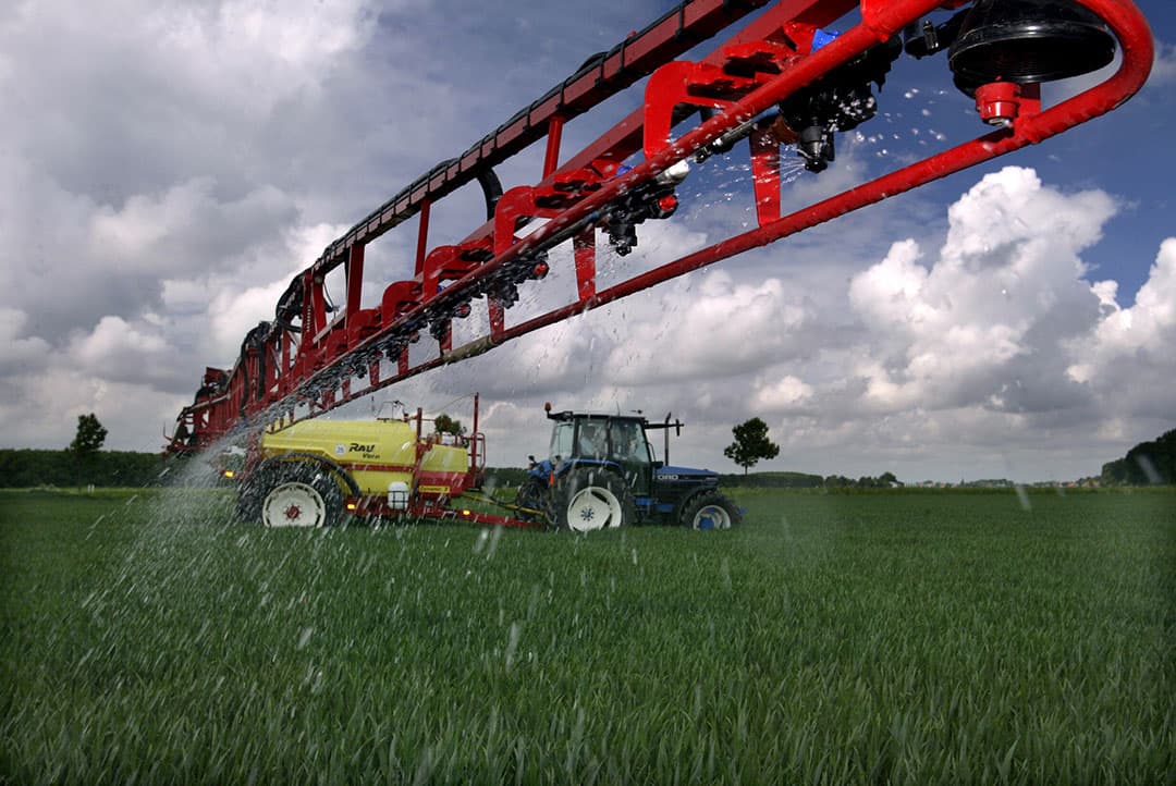 Tarwe krijgt een overbemesting met vloeibare stikstof. Over vijf jaar zijn er rassen op de markt met een natuurlijke nitrificatieremmer.
