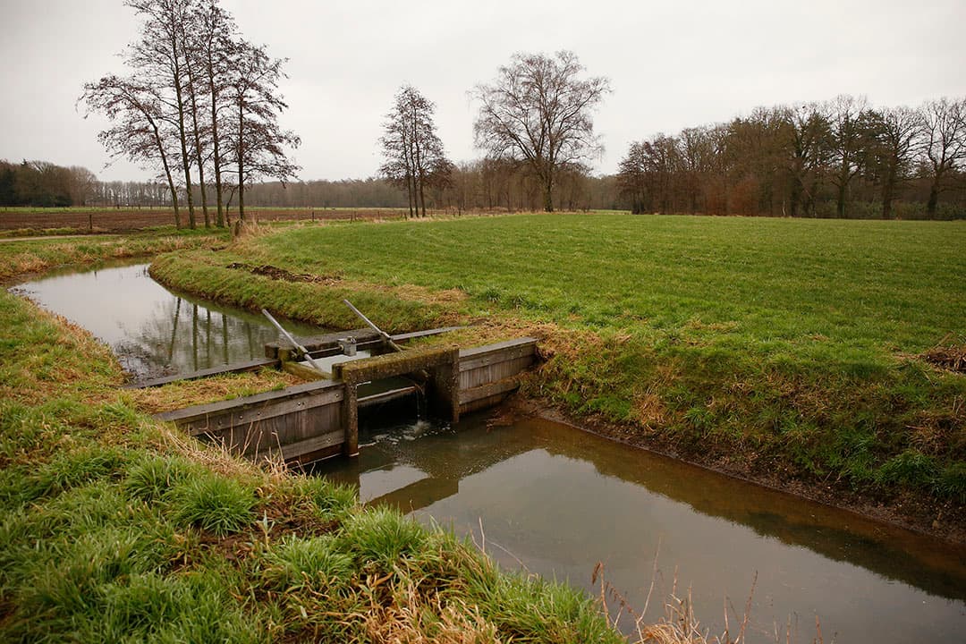 Sinds deze week worden vier à vijf percelen twee maanden bevloeid: van half januari tot half maart, net voor de start van het mestseizoen. - Foto: Hans Prinsen