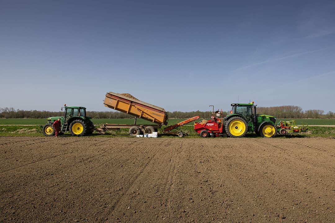 Aardappelen poten in Hank (N-.Br). Kennis van het pootgoed brengt perfectie van de consumptieteelt dichterbij. - Foto: Peter Roek