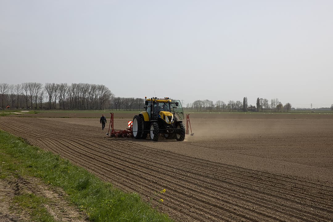 Zaaien van suikerbieten. Komend seizoen is er ruimte voor een groter areaal. - Foto: Peter Roek