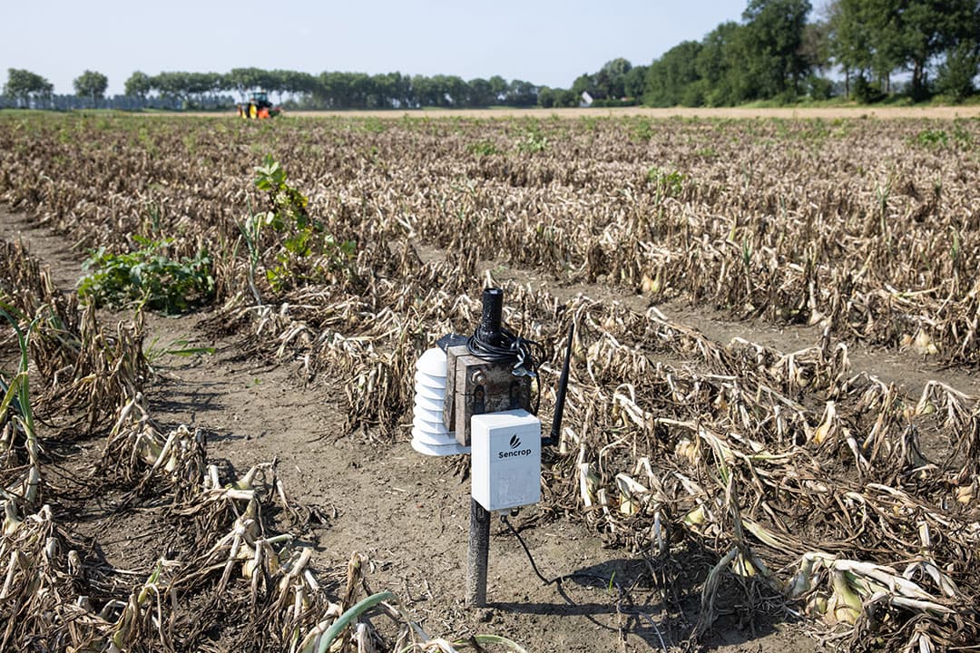 Een weerstation in het eigen perceel geeft de beste informatie over ziektedruk, middelenkeuze, het beste spuitmoment en de duurwerking van het middel. - Foto: Peter Roek