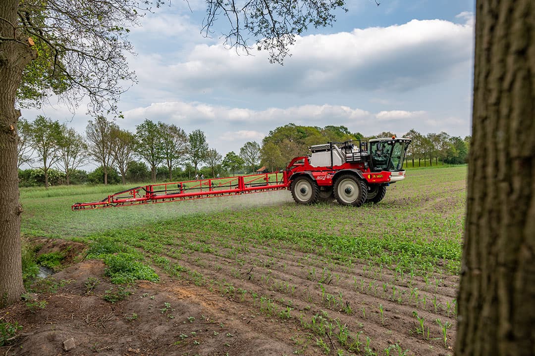 Onkruidbestrijding in mais vraagt steeds meer een perceelspecifieke aanpak. Je kunt niet meer standaard één keer spuiten. Het is steeds meer afhankelijk van wel of geen onderzaai, type onderzaai en van specifieke onkruiddruk.