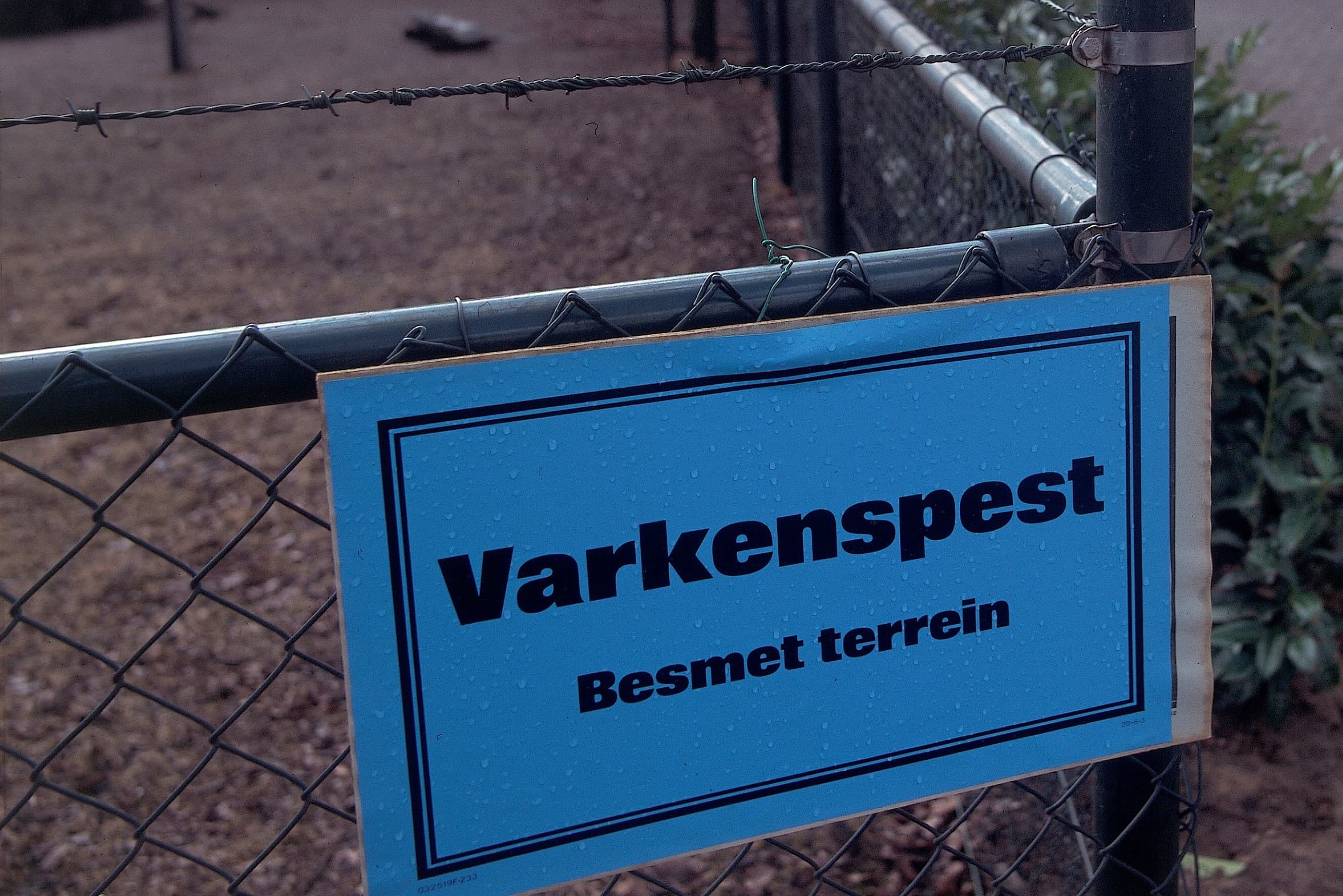 Na de bekendmaking dat er varkenspest in Nederland was, verschenen er in korte tijd overal blauwe borden. Een schrikbeeld voor boeren, om zo'n bord te hebben en om te zien bij anderen. - Foto: Mark Pasveer
