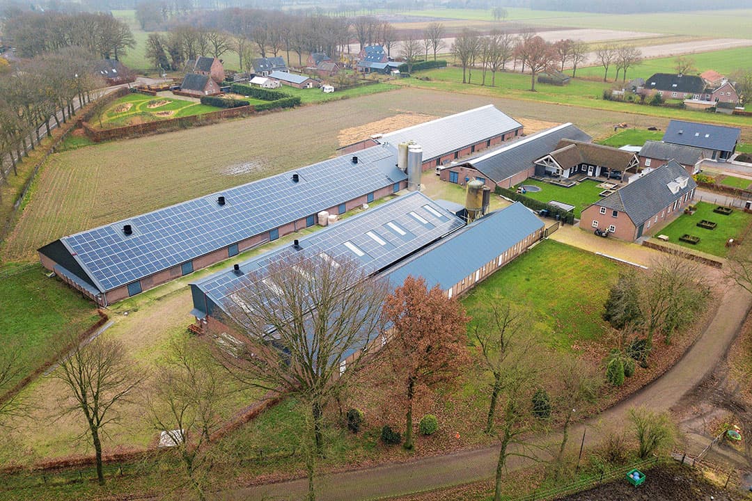 Foto: Bert Jansen