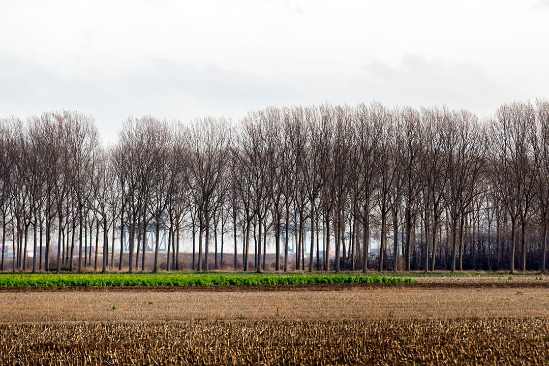 Foto: Roel Dijkstra