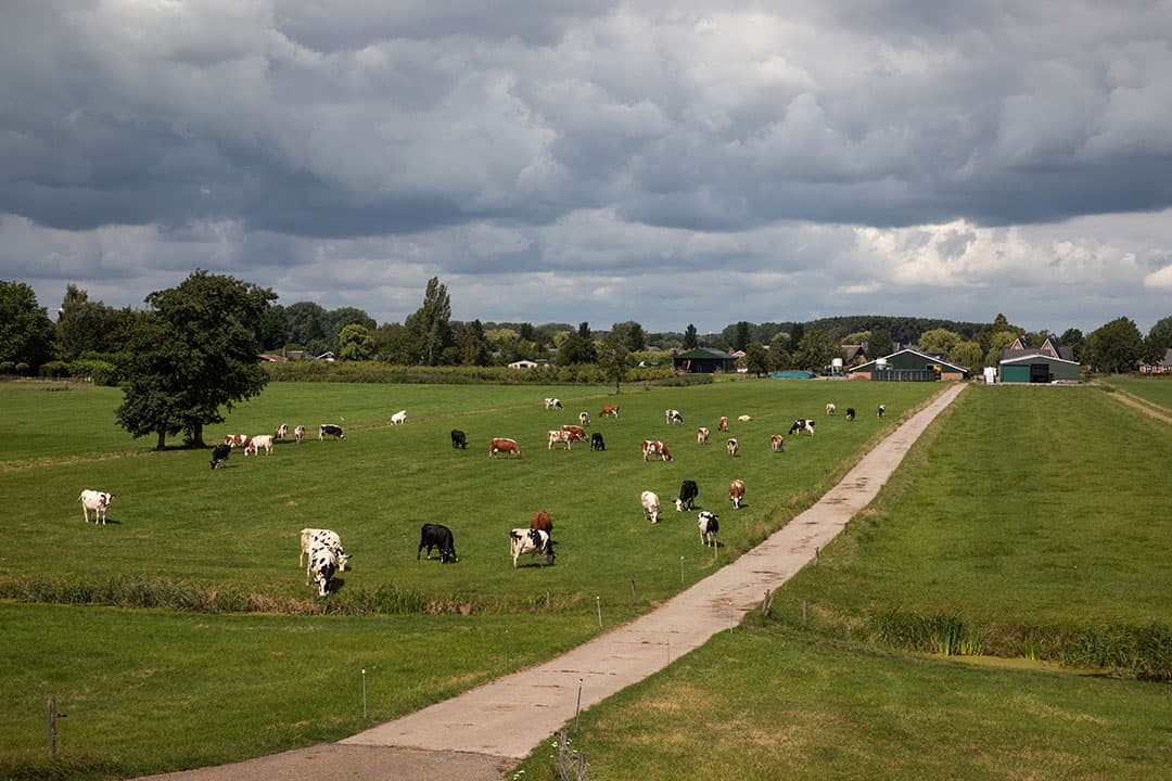 Foto: Herbert Wiggerman