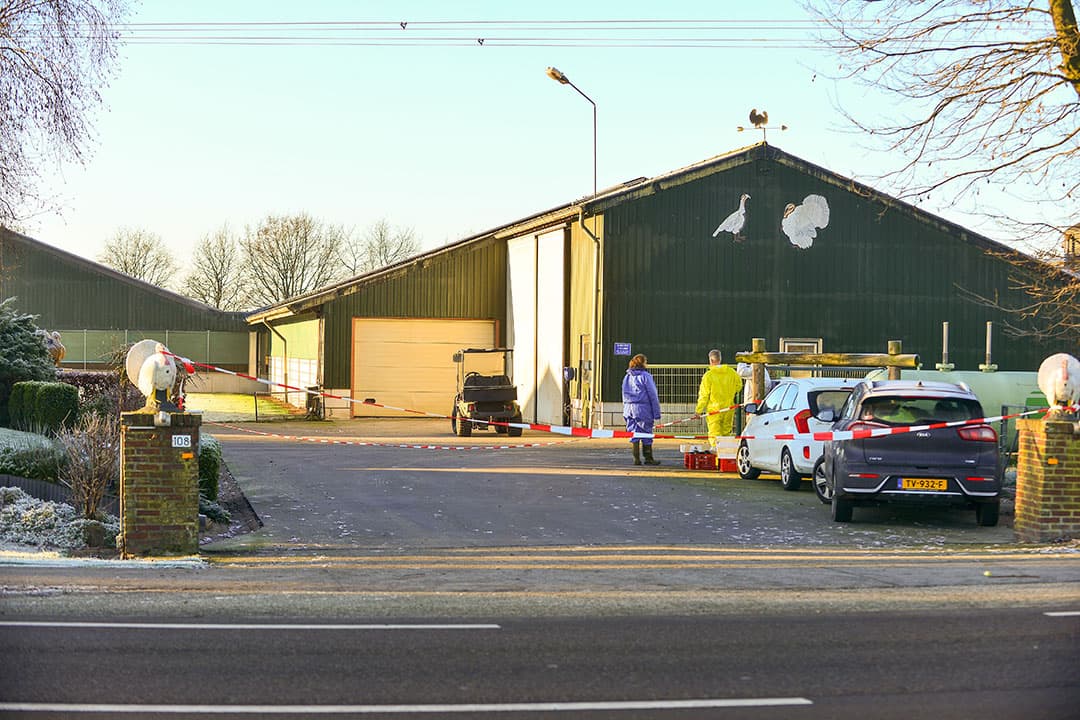 Medewerkers van de NVWA op het kalkoenenbedrijf in Ysselsteyn (L.), 21 december. - Foto: Bert Jansen