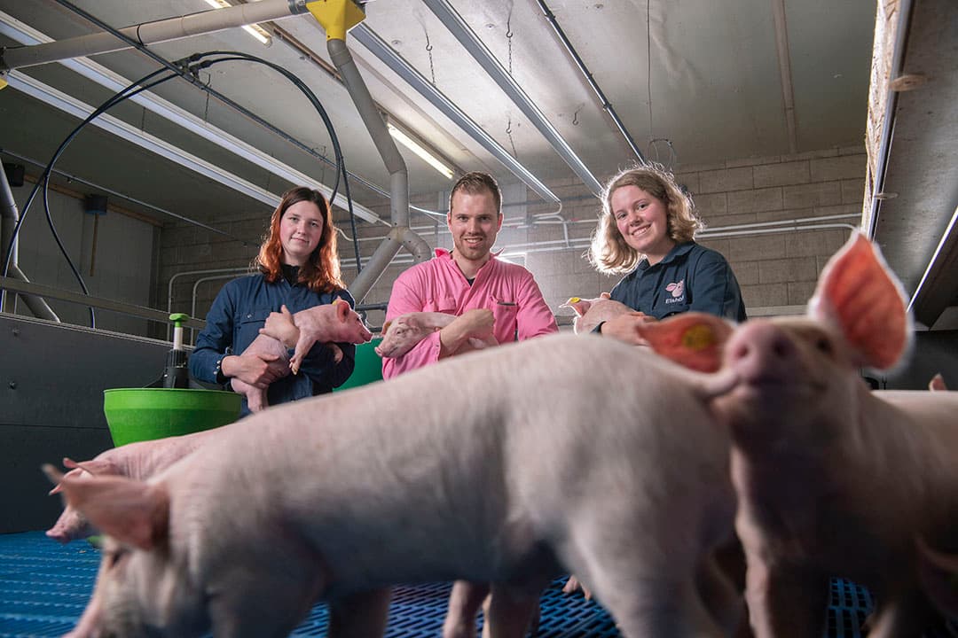Edwin Elshof (26) heeft in Marum (Gr.) een bedrijf met 650 zeugen en 4.500 vleesvarkens. Hij studeerde Sport, Recreatie en Toerisme en leidt nu zijn eigen varkenslocatie. Lotte (l.) liep er stage en momenteel is Nynke (r.) er. - Foto's: Mark Pasveer