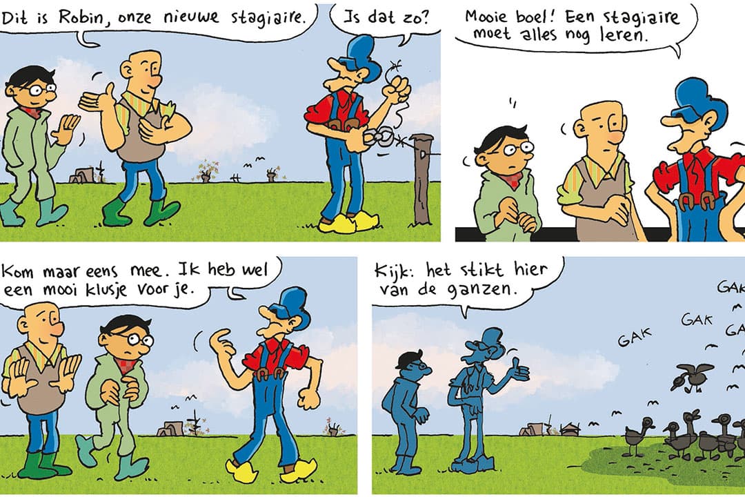 Afbeelding: Herman Roozen