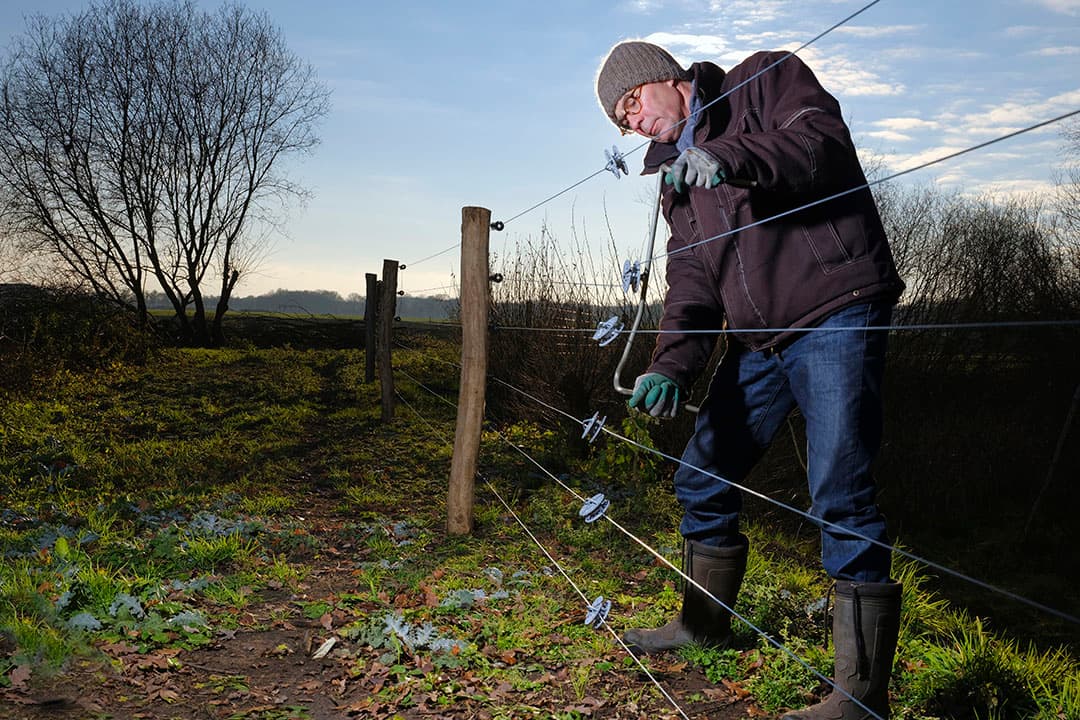 Schapenhouder plaatst afrastering om wolf op afstand te houden. - Foto: Ruud Ploeg