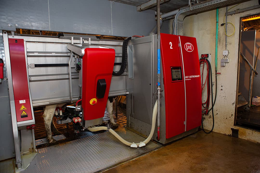 Er komen nog altijd bedrijven met een automatisch melksysteem bij. - Foto: Peter Roek