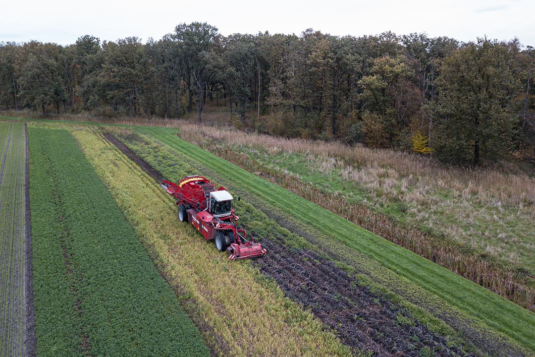 Strokenteelt is een van de maatregelen die passen binnen de ecoregeling. In het concept NSP staat het zo omschreven: minimaal 10 stroken in een combinatie van minimaal 3 gewassen in stroken van minimaal 3 en maximaal 24 meter breed. Hoeveel vergoeding dit oplevert is nog niet duidelijk. - Foto: Peter Roek