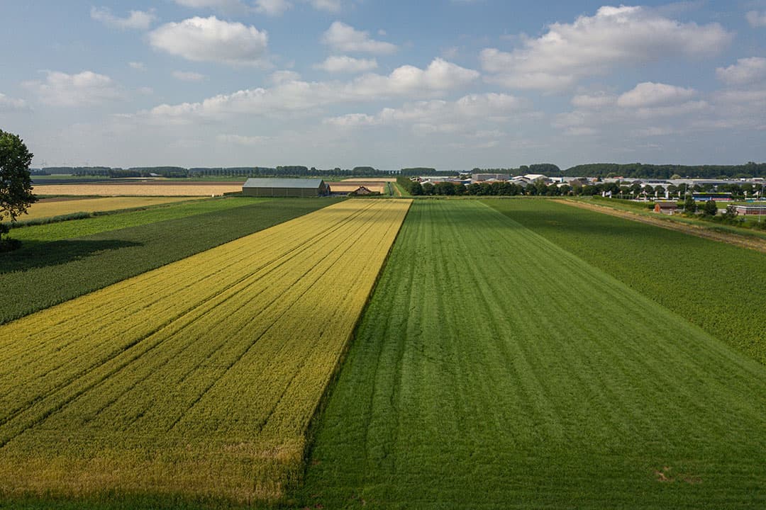 Foto: Peter Roek