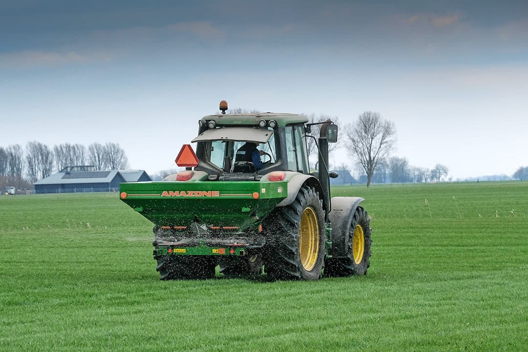 Kunstmest is duur, maar strooi komend voorjaar toch naar de behoefte van gras, mais en andere gewassen. Want besparen op kunstmestbemesting is verkeerde zuinigheid. Kunstmest kopen is altijd nog goedkoper dan het kopen van eiwitrijke voeders, zoals sojaraap. - Foto: Jan Willem van Vliet