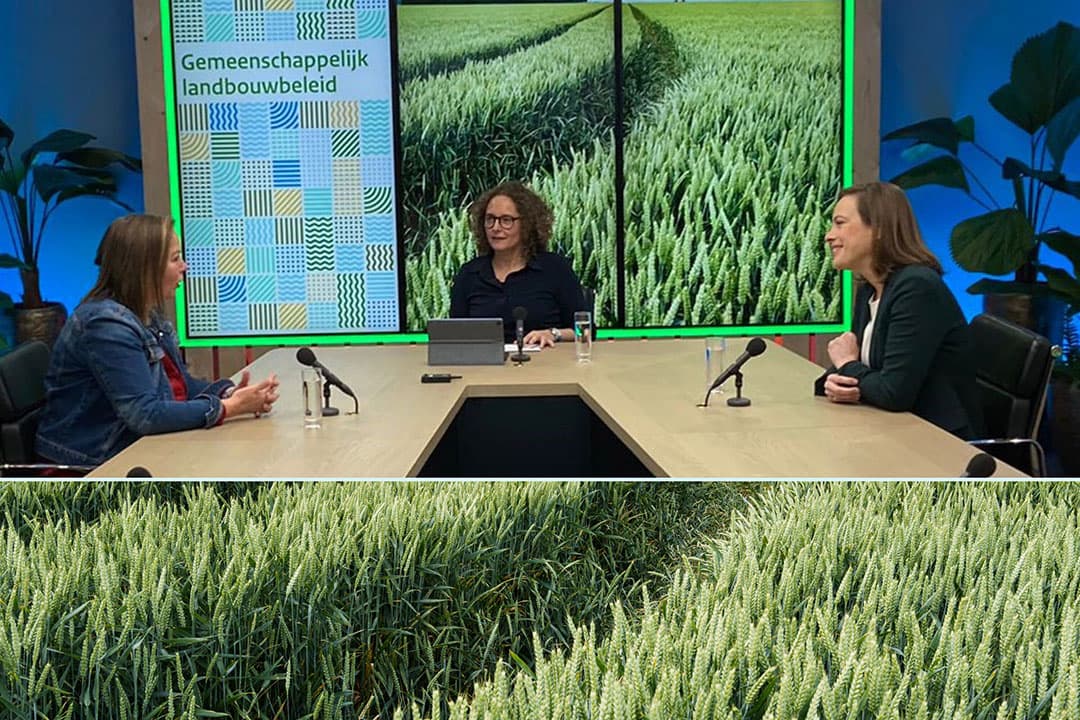In het webinar ‘Samen op weg naar het nieuwe GLB’ op 30 november werd gesproken over de veranderingen in het Gemeenschappelijk Landbouwbeleid in 2023. - Foto: RVO