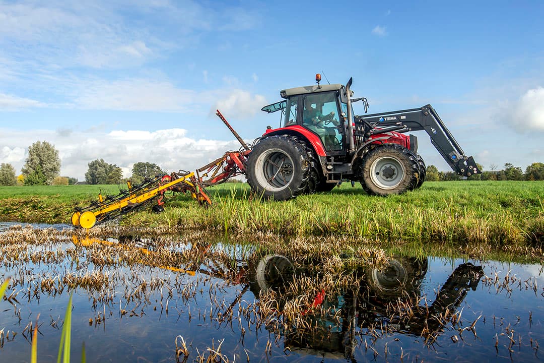 Foto: Roel Dijkstra