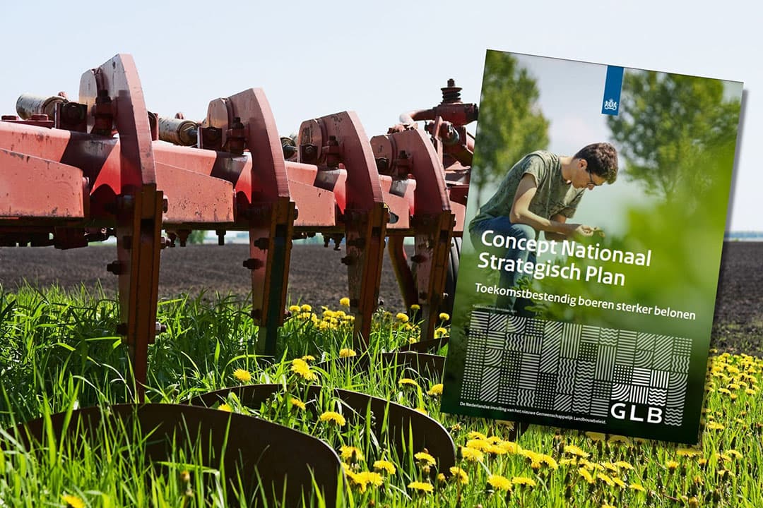 Naast de basisinkomenssteun is op vrijwillige basis deelname mogelijk aan zogeheten eco-regelingen in het nieuwe Gemeenschappelijk Landbouwbeleid (GLB). - Foto: Canva en cover Concept Nationaal Strategisch Plan
