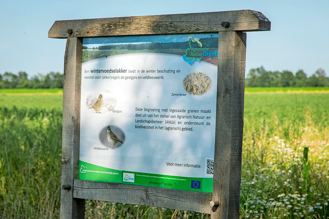 Geef boeren zelf de vrijheid om te bepalen hoe ze aan gestelde eisen voldoen, bijvoorbeeld op het vlak van biodiversiteit, adviseert de Rli. - Foto: Koos Groenewold