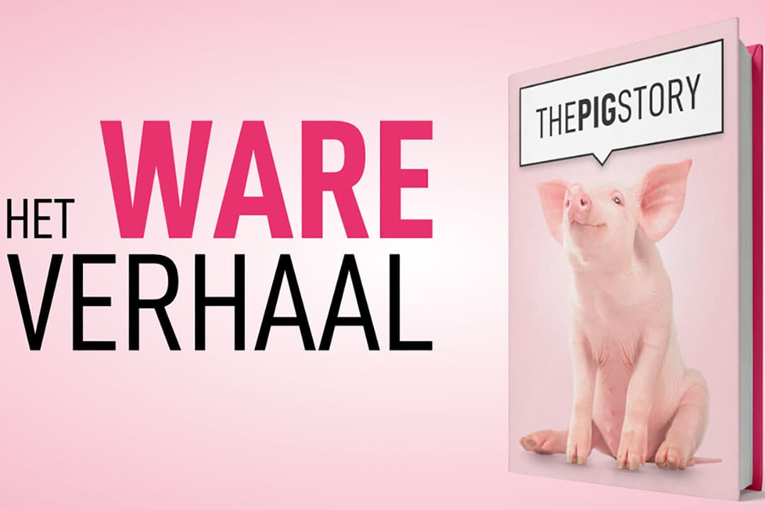 Foto: ThePigStory