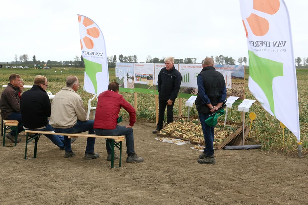 Voor de landelijke uiendag in Colijnsplaat (Zld.) maakte Van Iperen de tussentijdse opbrengstverschillen tussen de onderzoeksobjecten visueel. - Foto: Anton Dingemanse