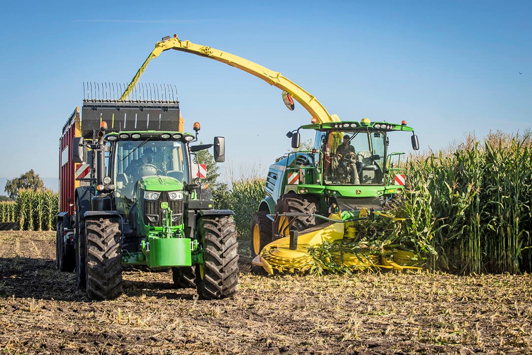 De maisoogst op 16 september 2021 in Limburg. Naast veredeling op hoge opbrengsten, zetmeel en hoge voederwaarde, zijn vroegrijpheid, low input rassen, EarFlex en droogte-, koude- en ziektetoleranties belangrijke aandachtspunten voor maiskwekers. - Foto: Koos Groenewold