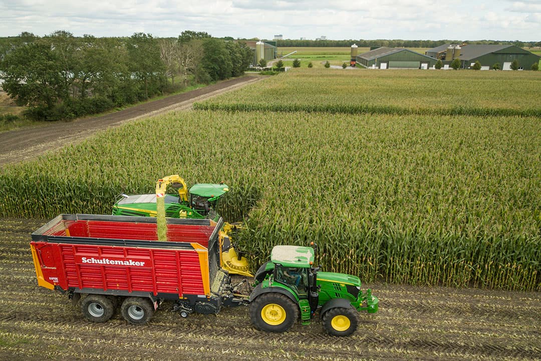 De Rassenlijst en de cijfers van Agro Transfer Seed geven inzicht in de eigenschappen van maisrassen en kunnen zo bijdragen tot het kiezen van het best passende ras. - Foto: Koos Groenewold