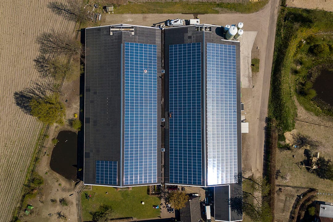 Zonnepanelen op varkensstallen. De meeste subsidie is aangevraagd voor projecten voor CO2-afvang en -opslag en voor zonnepanelen. - Foto: Bert Jansen