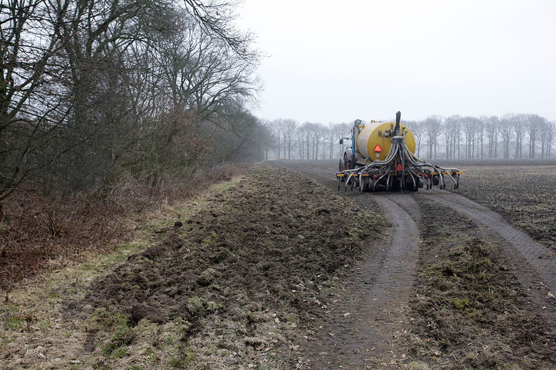 Foto: Hans Prinsen