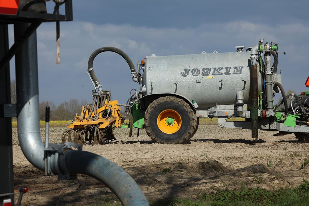 Mest injecteren op maisland. - Foto: Henk Riswick