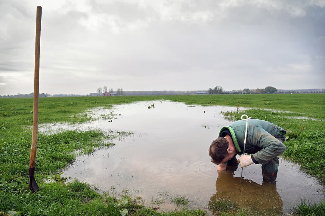 Als een duiker verstopt zit, moet je 'm zoeken. Dat is precies wat deze boer aan het doen is, want na een buitje staat hij in een grote plas water in het Gelderse Altforst. - Foto:ANP