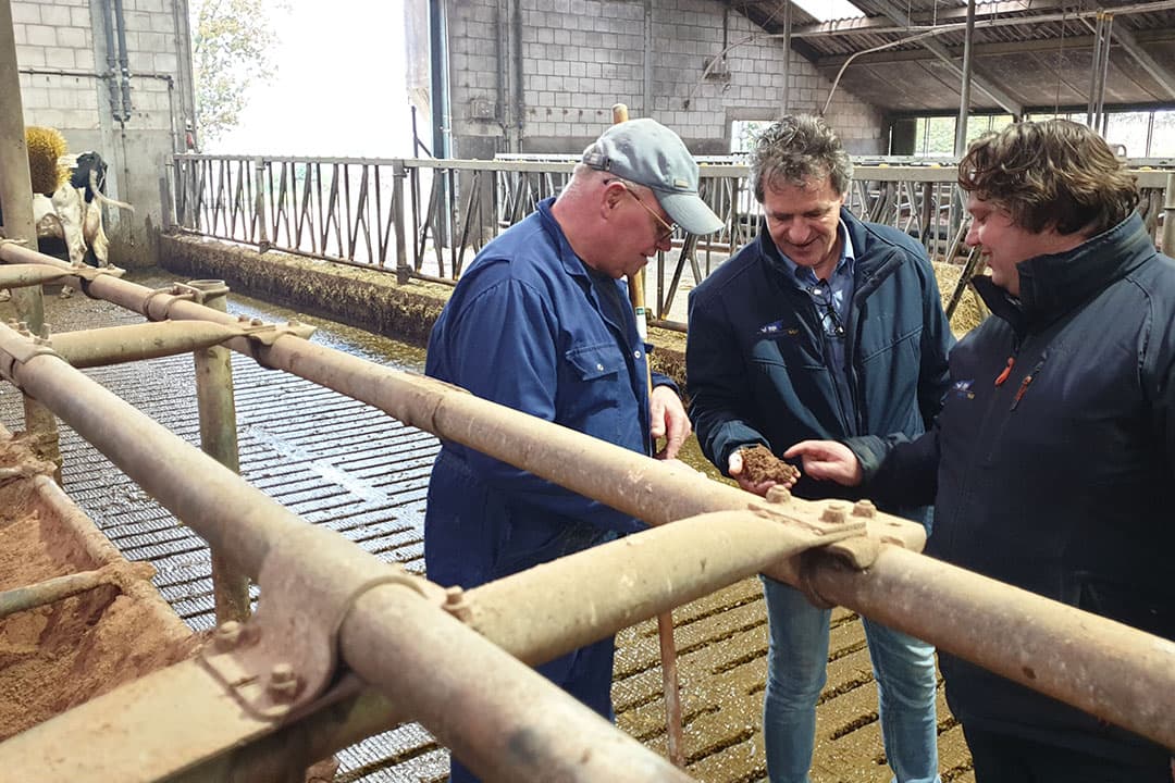 Wim Lenselink (l.) bekijkt de Zaagsel diepstrooiselmix met Wilco Garritsen en Harald Wiltink(r.). Comfortmix adviseert en levert niet alleen strooisel, maar geeft ook advies over stalinrichting en koecomfort, zoals een juiste boxafstelling. - Foto: Comfortmix