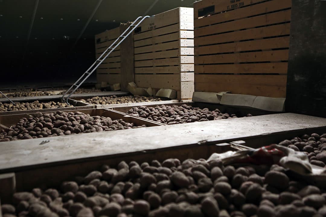 Naast hogere kosten voor bemesting en energie wijst de POC ook op andere kosten die flink toenemen, zoals bewaring. Foto: Fotostudio Atelier 68