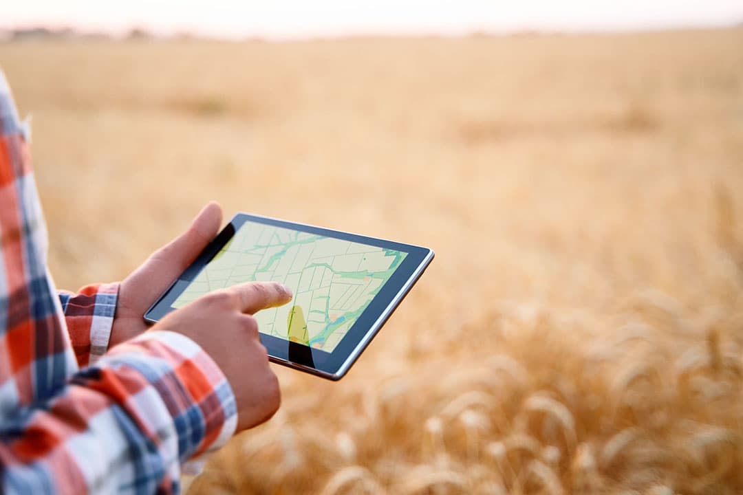 Een dataplatform voor teeltgegevens moet telers helpen om hun bedrijven verder te ontwikkelen en kosten beter te beheersen. - Foto: Canva