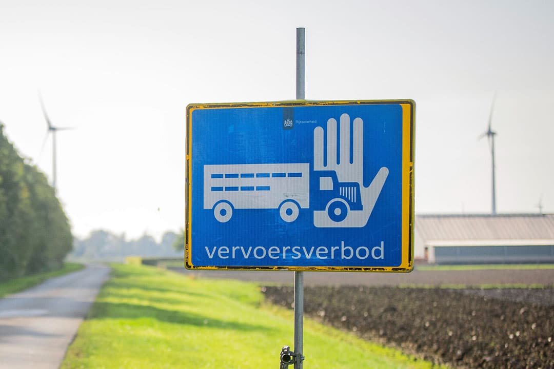 Foto: Koos Groenewold