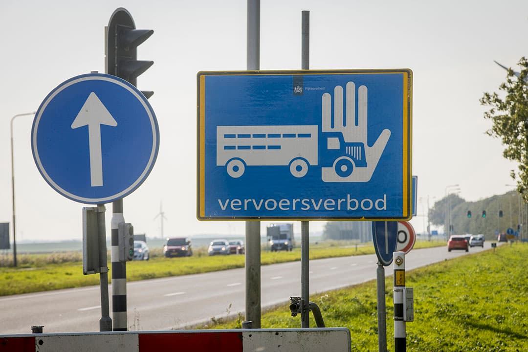 Foto: Koos Groenewold