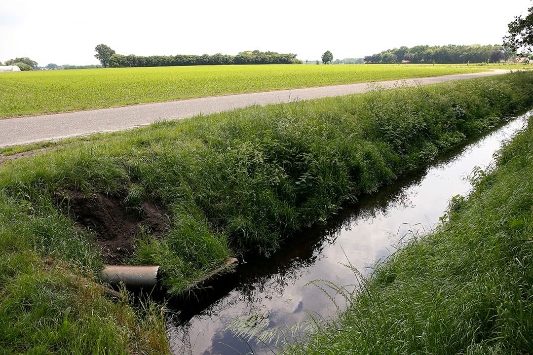 Foto: Hans Prinsen