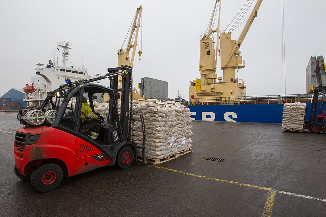 Uien laden voor verscheping naar Afrika. - Foto: Peter Roek