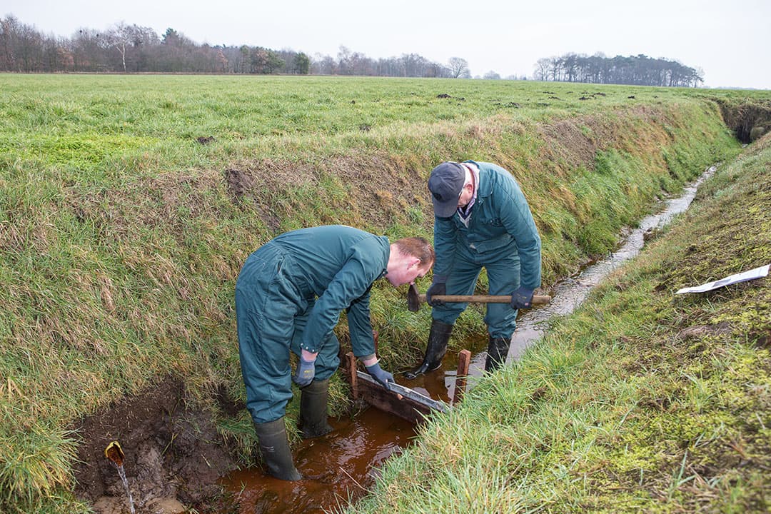 Het aandeel van de directe betalingen voor de eco-regelingen moet op peil blijven. Dit zijn beloningen voor inspanningen die boeren doen op het gebied van biodiversiteit, bodem, water, klimaat en landschap. - Foto: Peter Roek