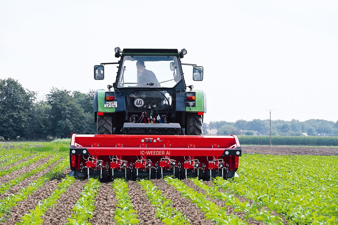 Op basis van grootte, structuur en kleur kan de schoffel onderscheid maken tussen suikerbietplantje en onkruid.  - Foto: Lemken
